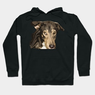 strange dog Hoodie